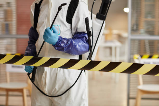 Professional Sewage Cleanup technician working in Preston, ID