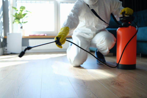Reliable Sewage Cleanup contractor in Preston, ID by Trauma Clean Pros